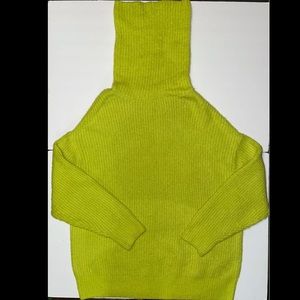 ZARA Sweater
turtleneck